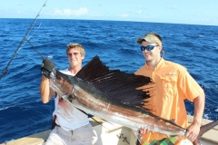 Giant Sailfish