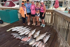 Fishing haul after charter
