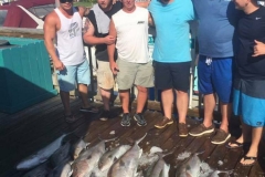 Fishing haul
