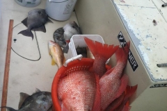 Fishing haul