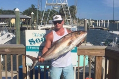Amberjack
