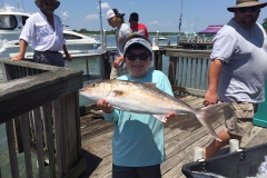 Boy with Amberjack fish