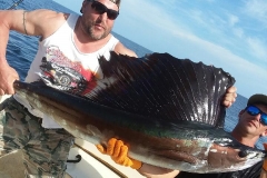 Sailfish Fishing