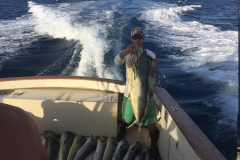 Mahi trip